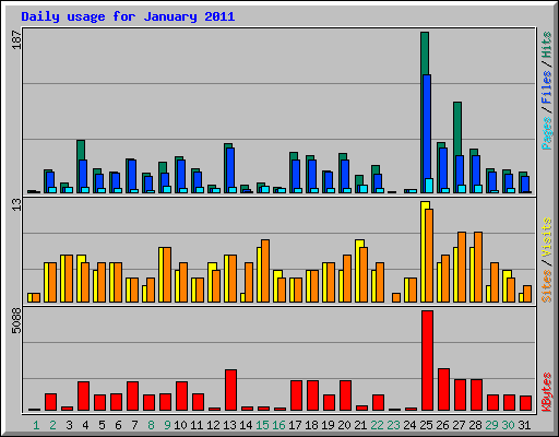 Daily usage for January 2011
