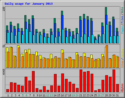 Daily usage for January 2013