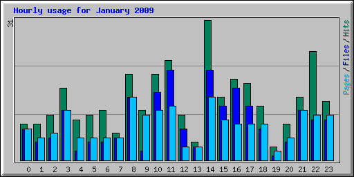 Hourly usage for January 2009