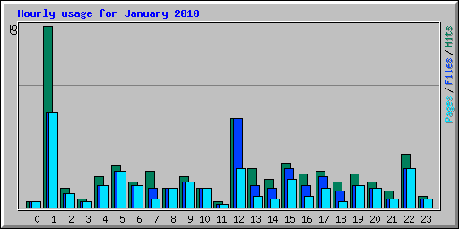 Hourly usage for January 2010