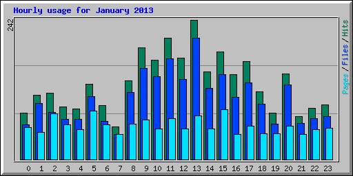 Hourly usage for January 2013